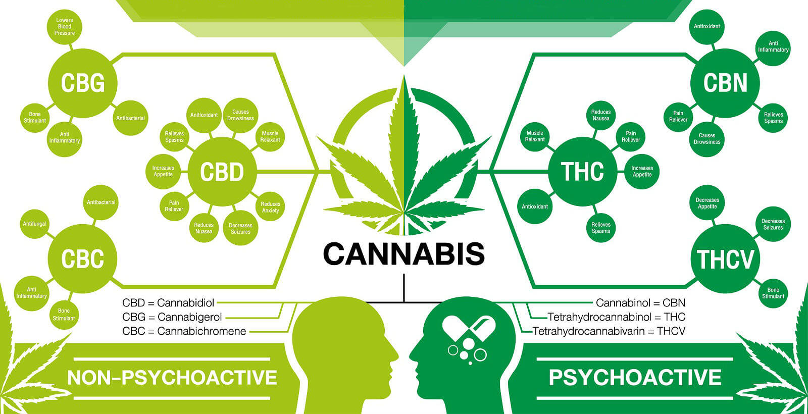 cannabinoid guide cannabinoid guide